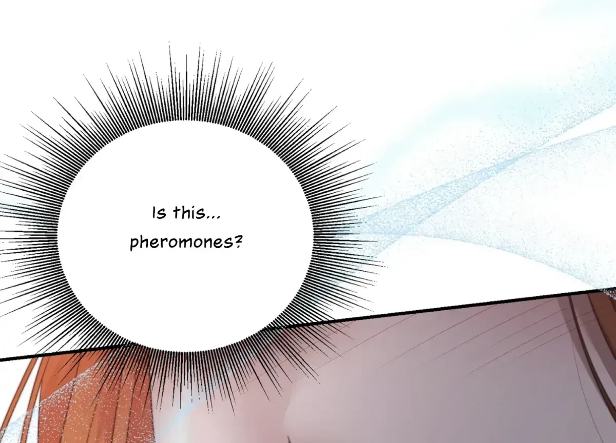 Chapter 1.1, page 55