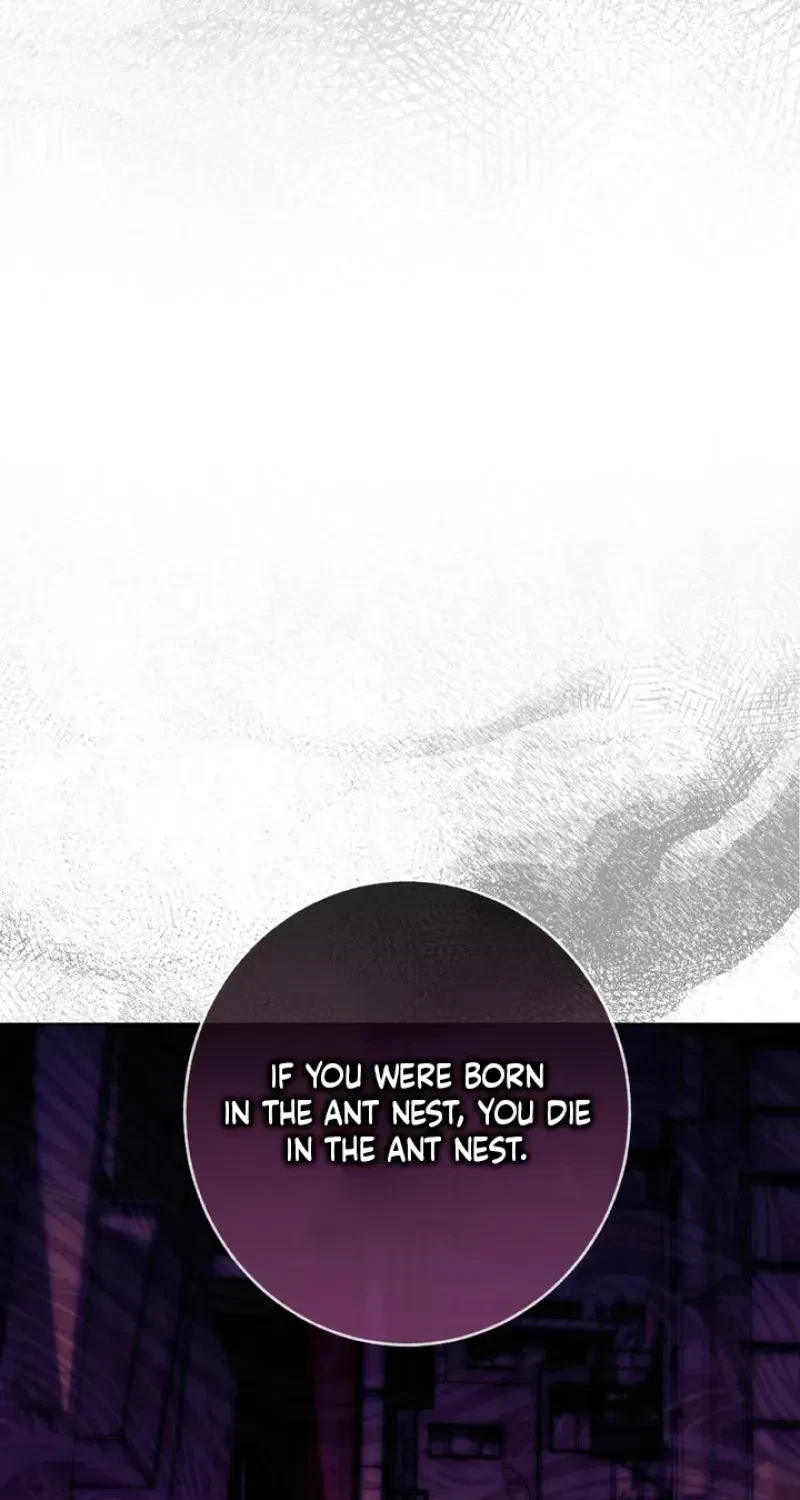 Chapter 3, page 68