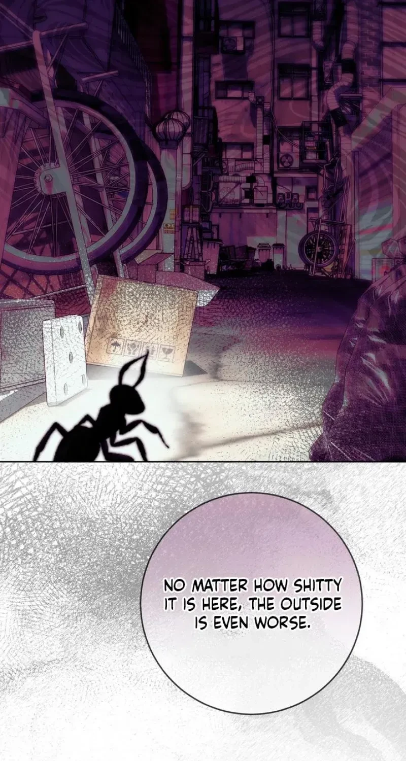 Chapter 3, page 69