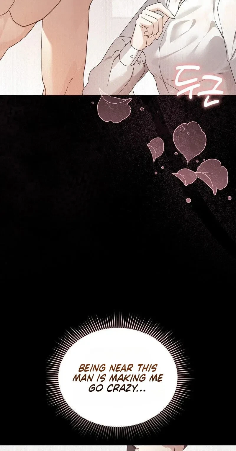 Chapter 4, page 36