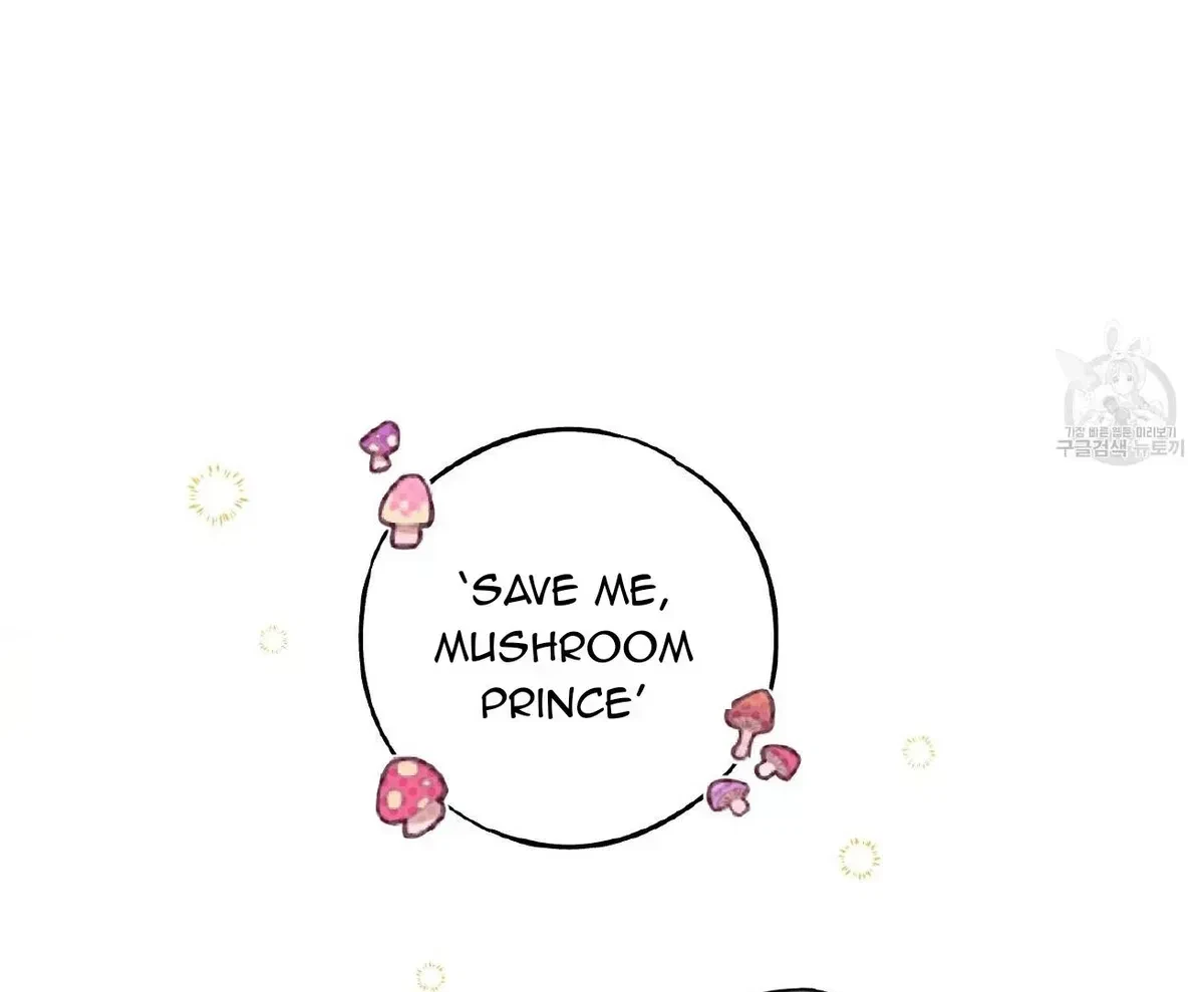 Chapter 1.4, page 14