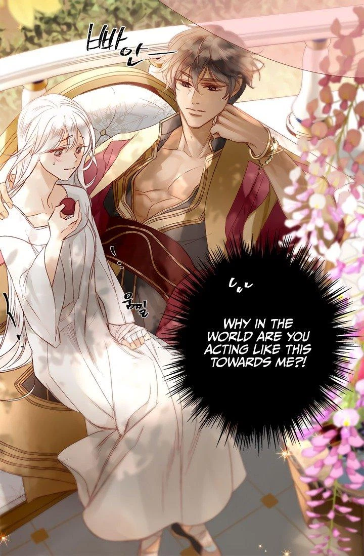 The Sultan's Love Chapter 3, page 46