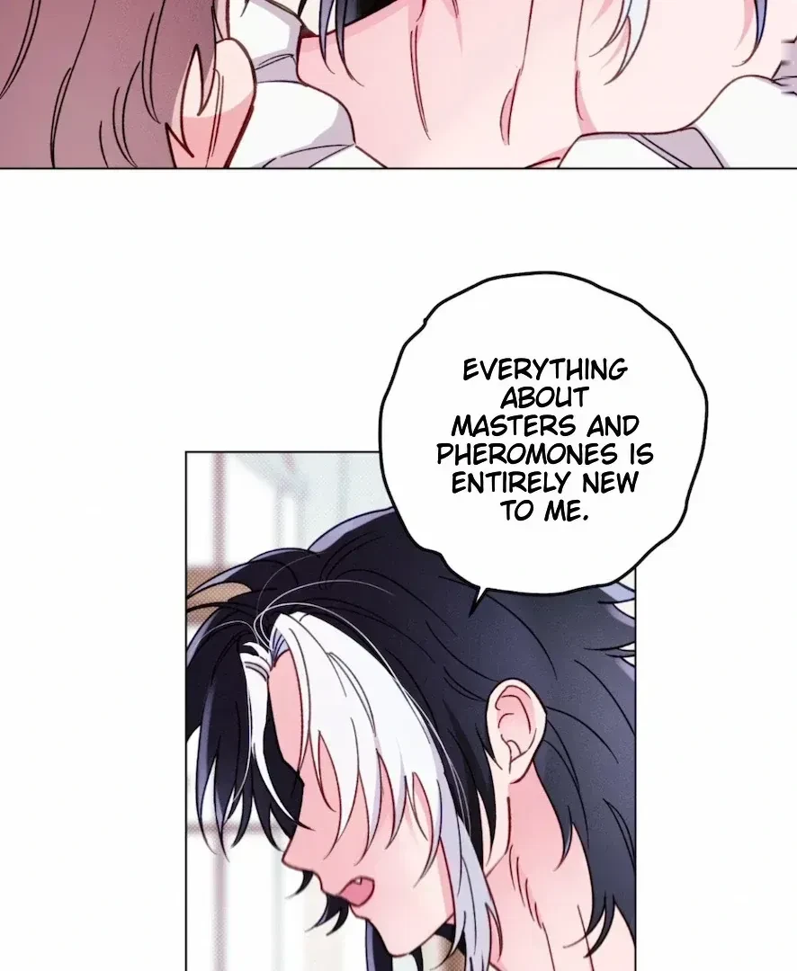 Chapter 3.3, page 47