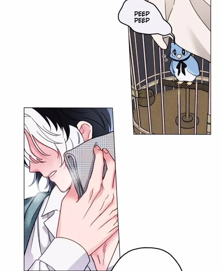 Chapter 3.3, page 5