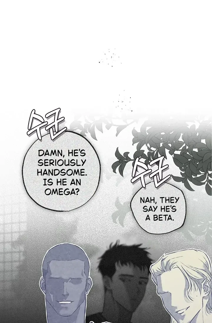 Chapter 5, page 108