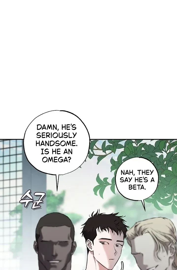 Chapter 5, page 31