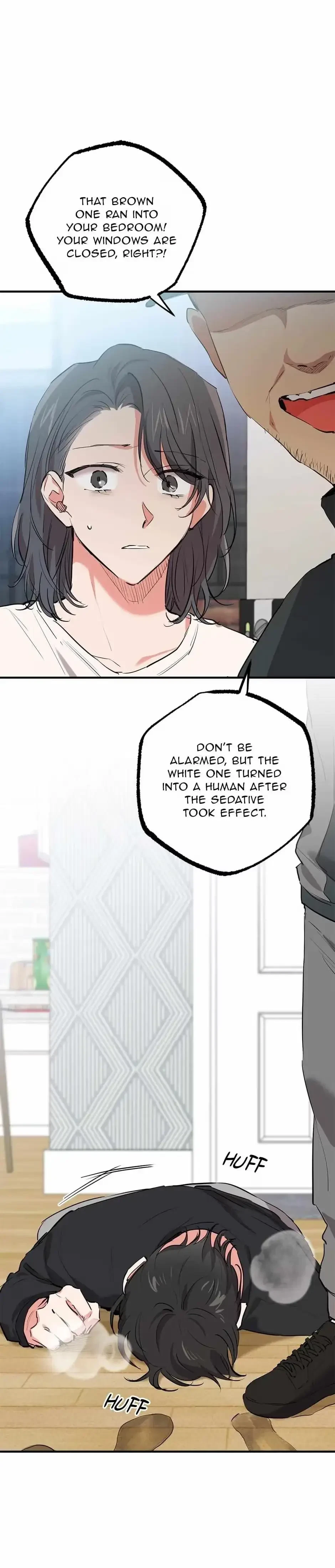 Chapter 36, page 14