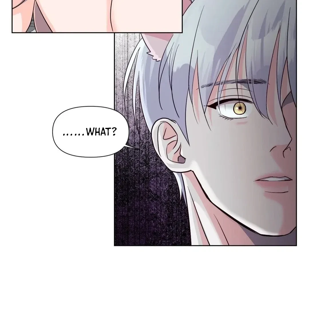 Chapter 6, page 92