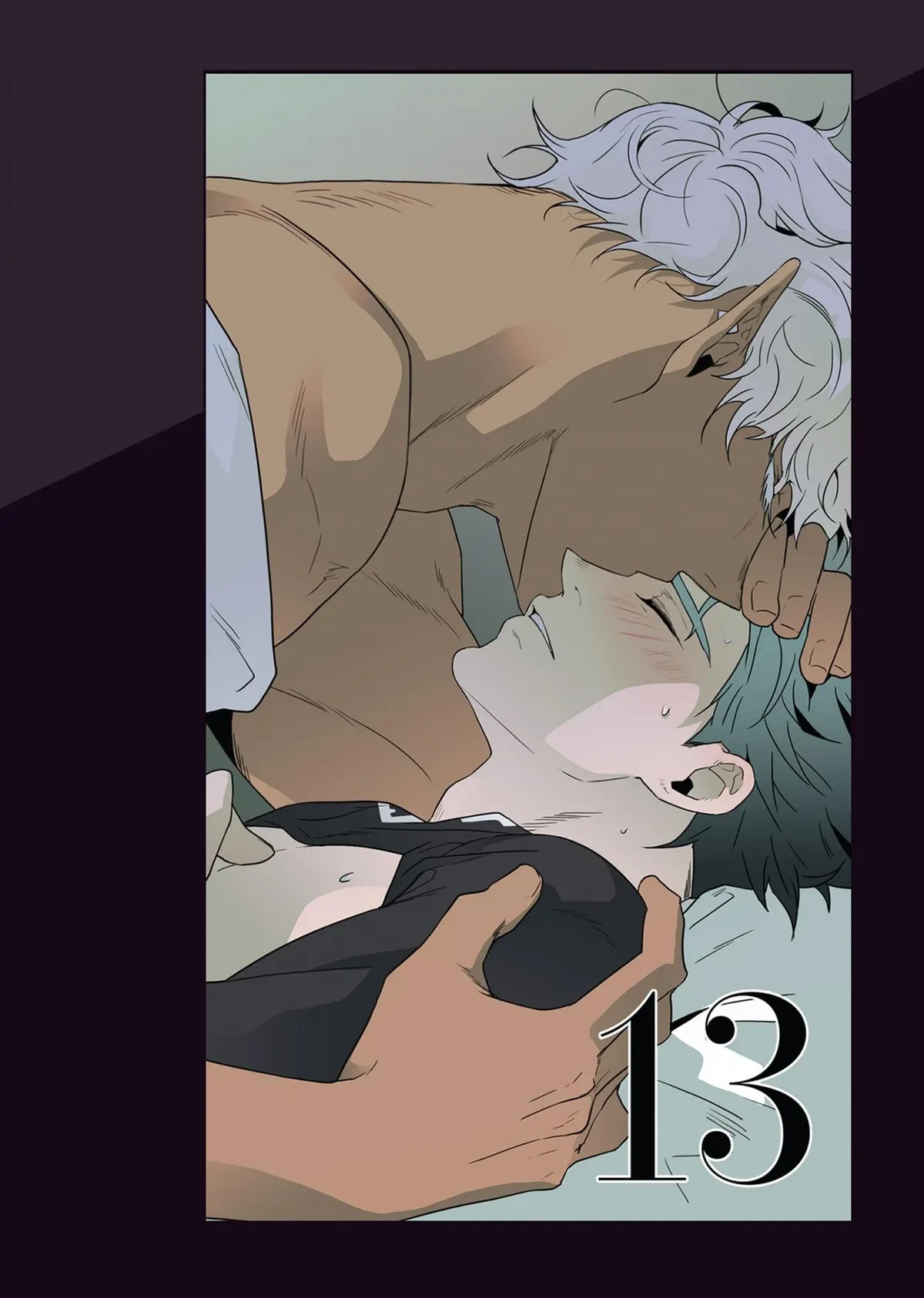 Vol.1  Chapter 1-14, page 335
