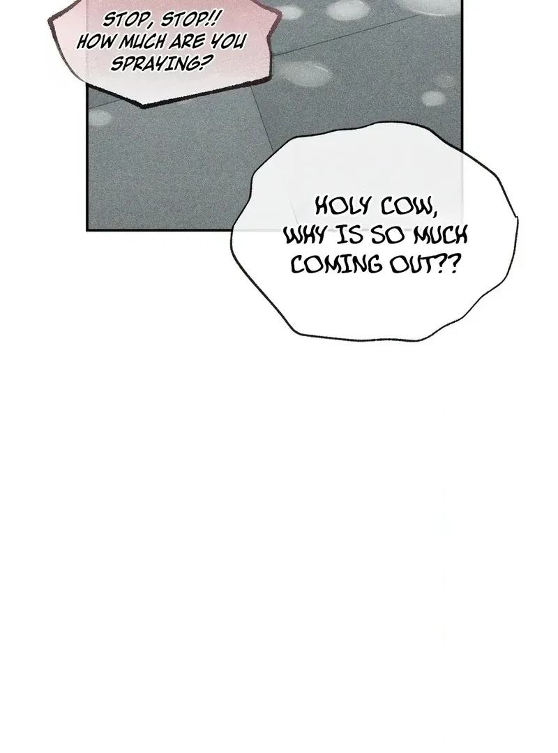 Best Friend User Manual Chapter 1, page 15