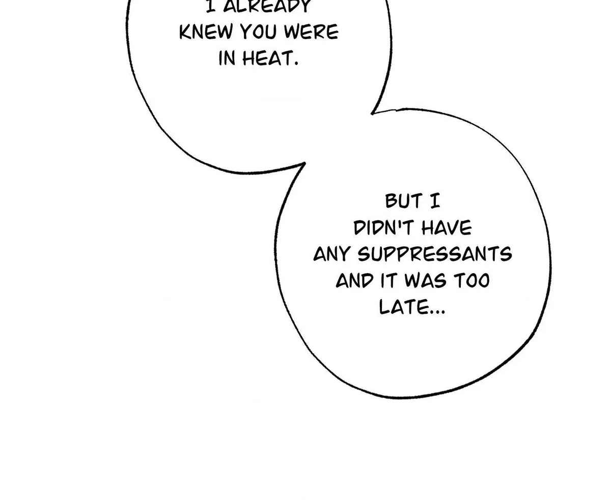 Chapter 3, page 34