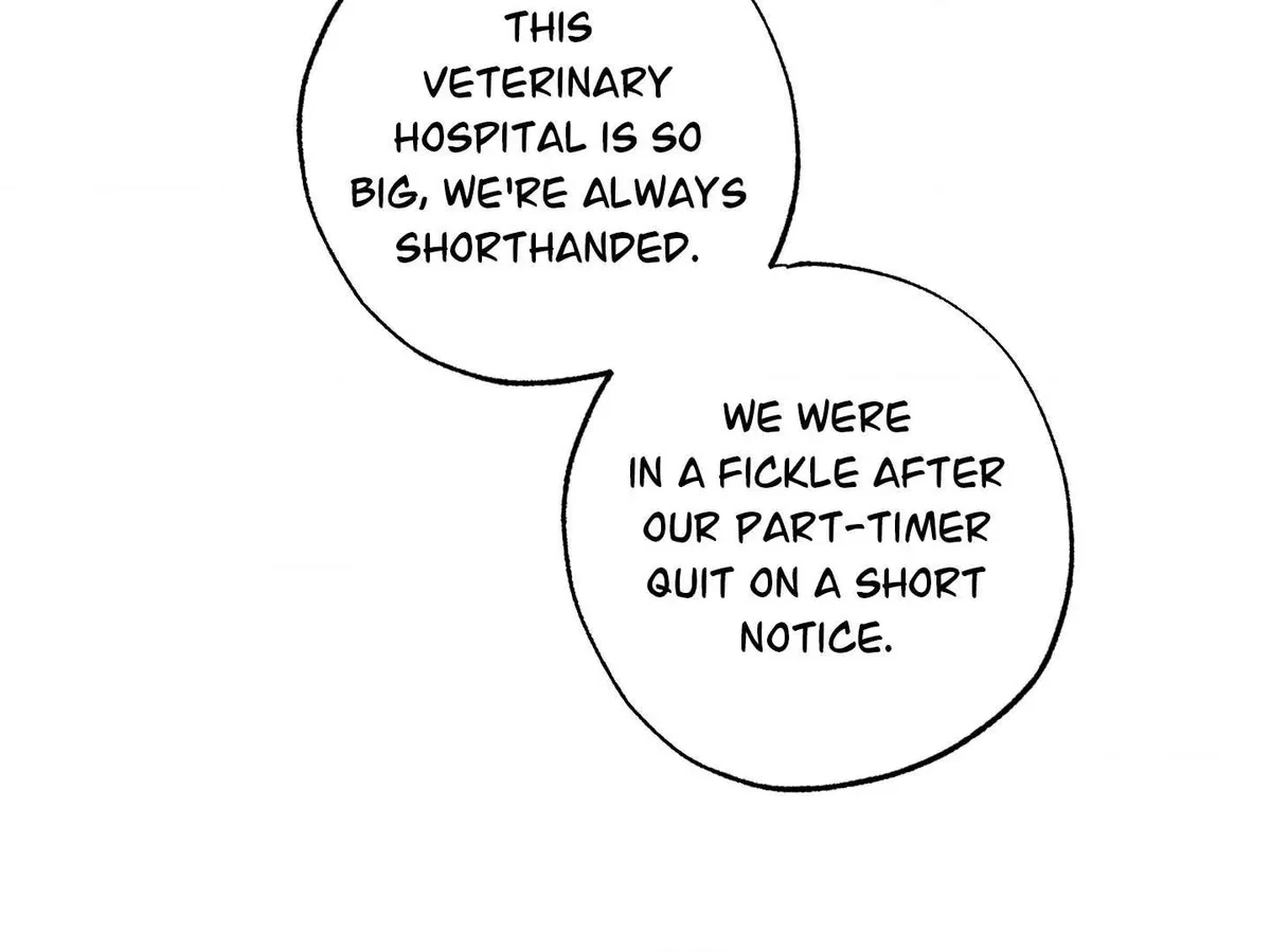 Chapter 3, page 73