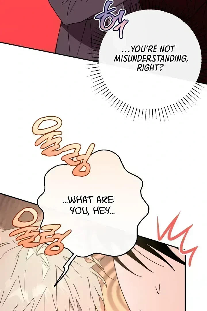 Chapter 3.3, page 50