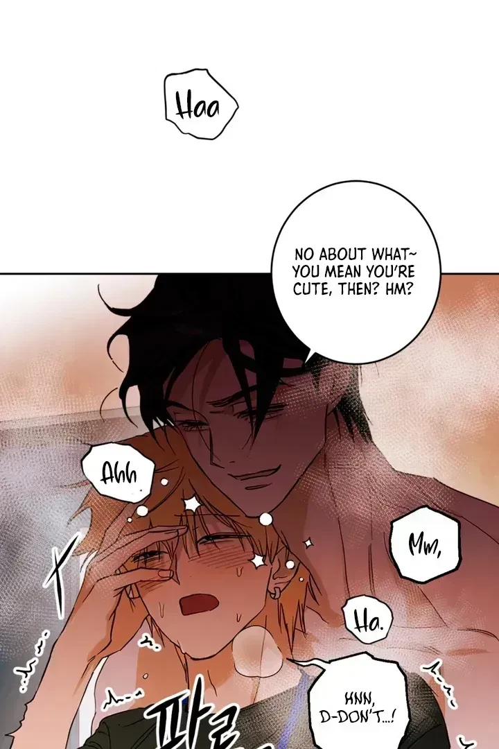 Chapter 1.7, page 33