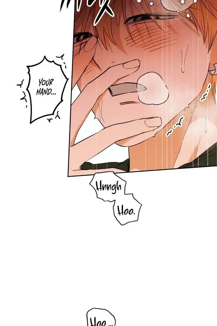 Chapter 1.7, page 36