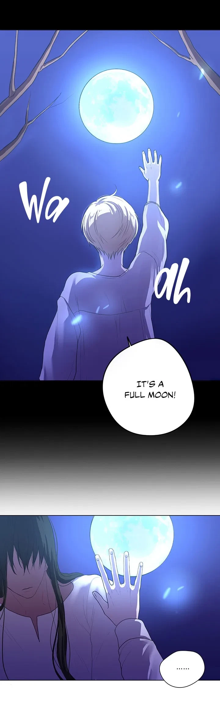 Chapter 2, page 19