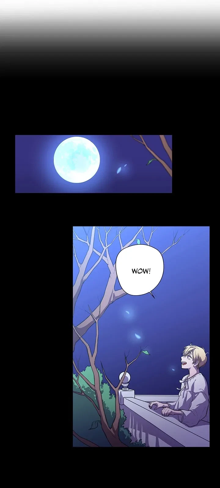Chapter 2, page 27
