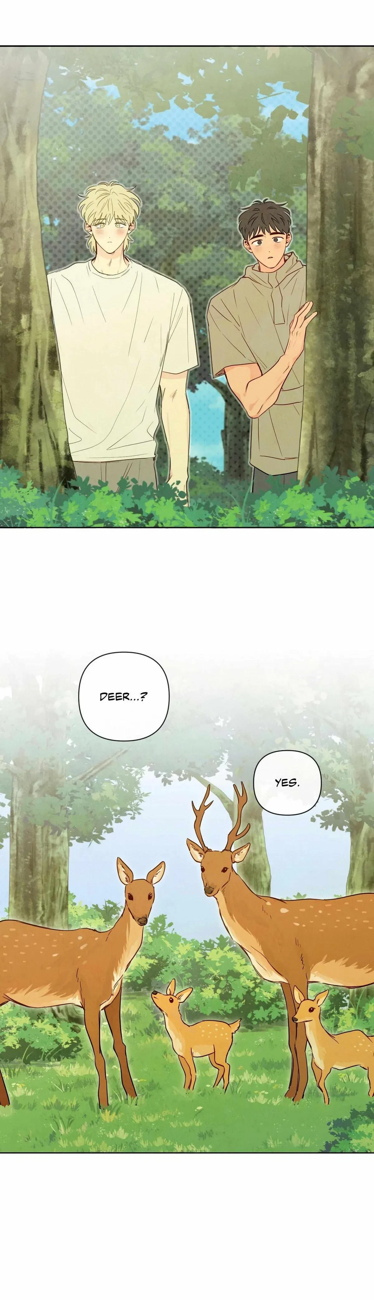 Chapter 59, page 29