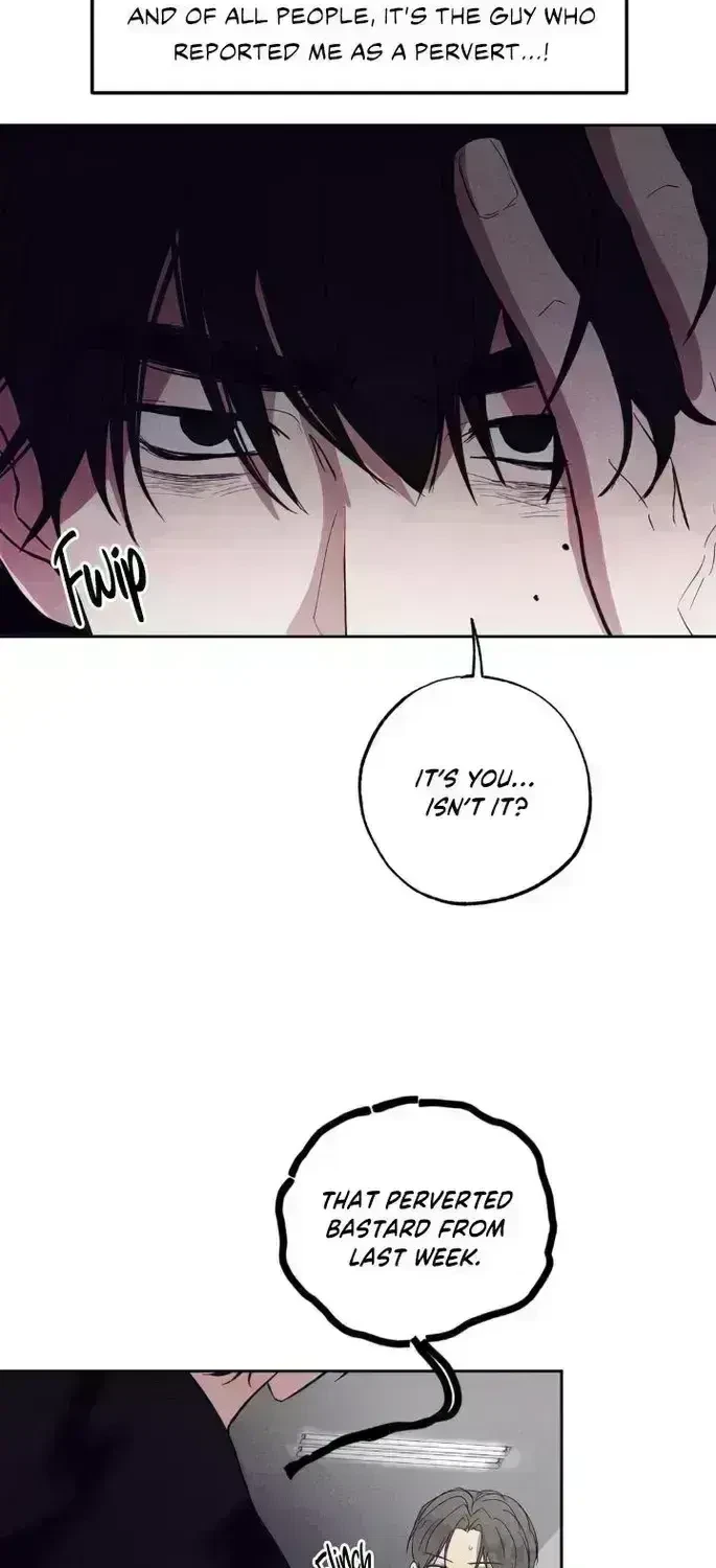 Chapter 4.9, page 19