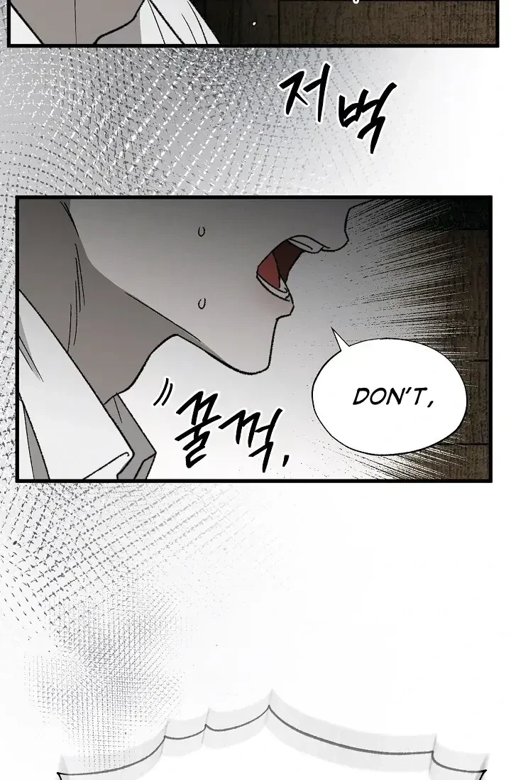 Chapter 3, page 17