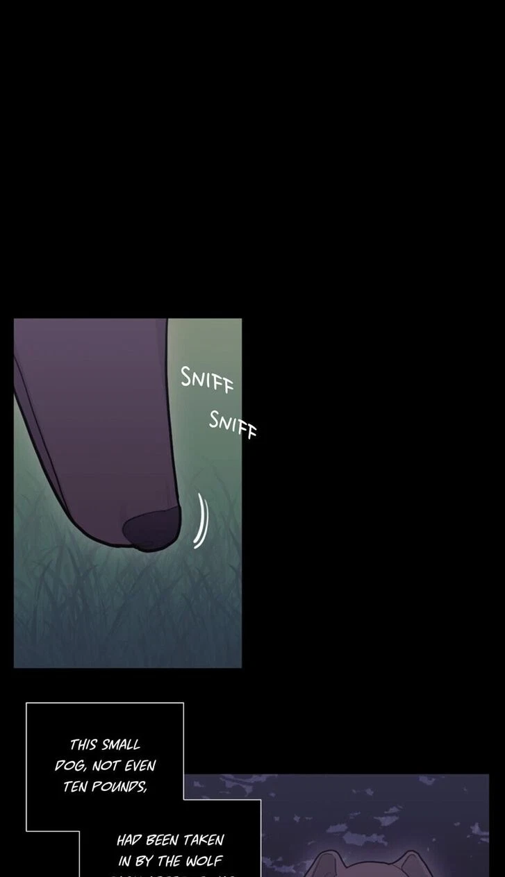 Chapter 54, page 41