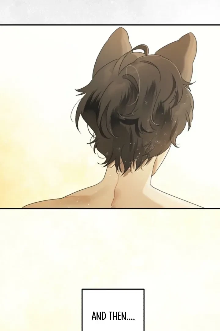 Chapter 3, page 103