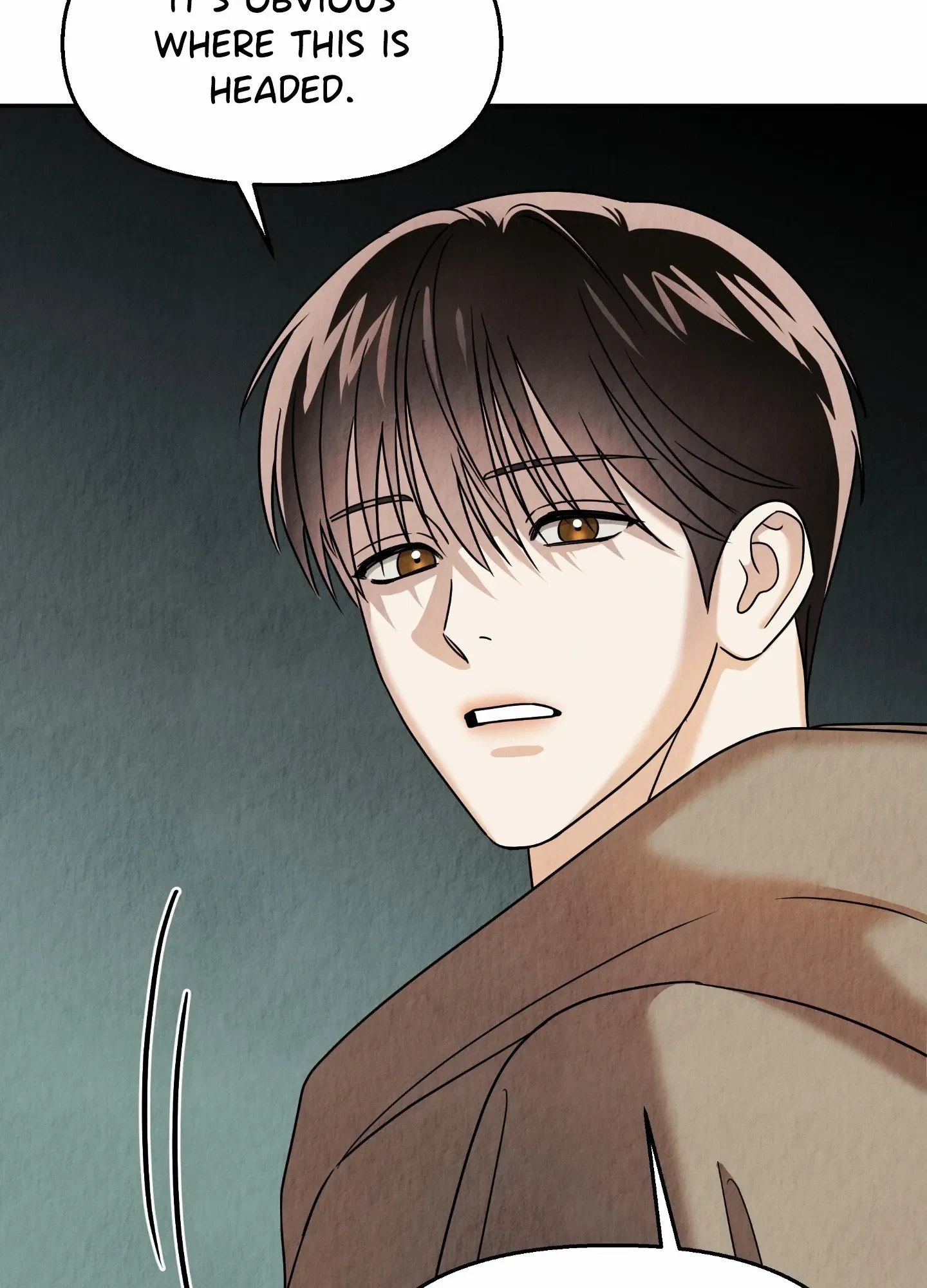 Chapter 8, page 97