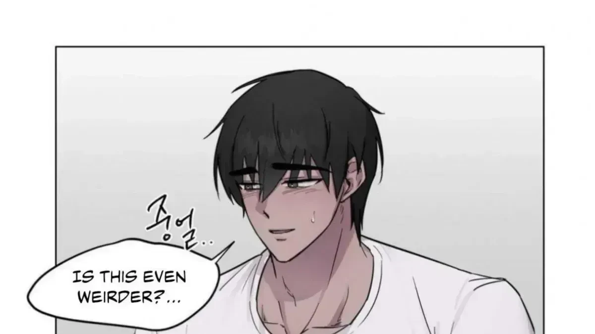 Chapter 3.8, page 18