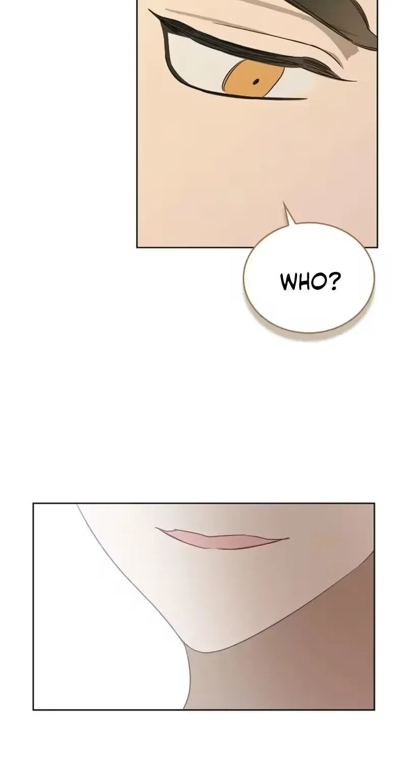 Chapter 4, page 67