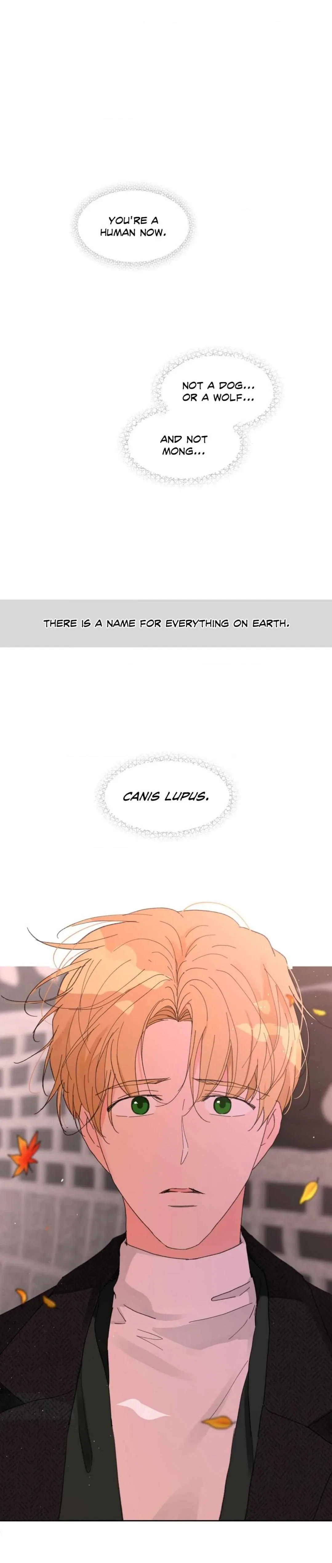 Chapter 105, page 18