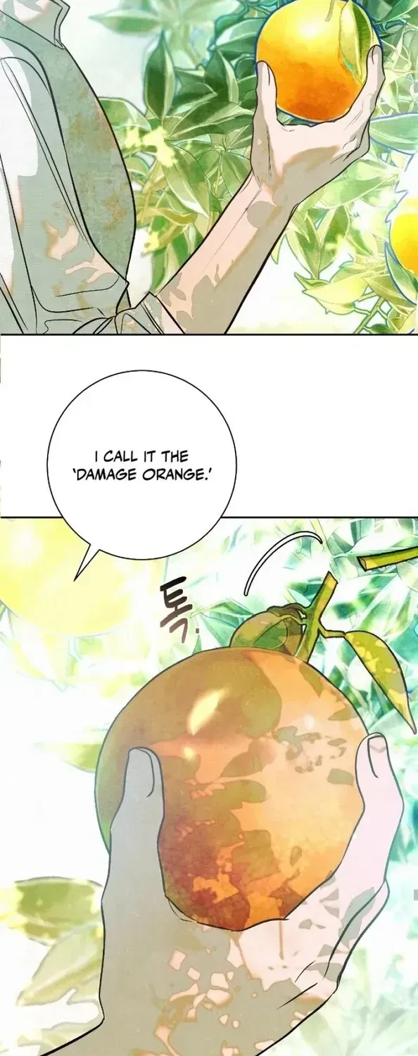 Chapter 1.4, page 31