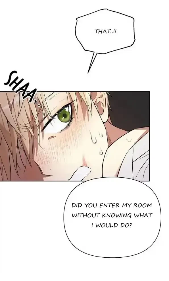 Chapter 1, page 13