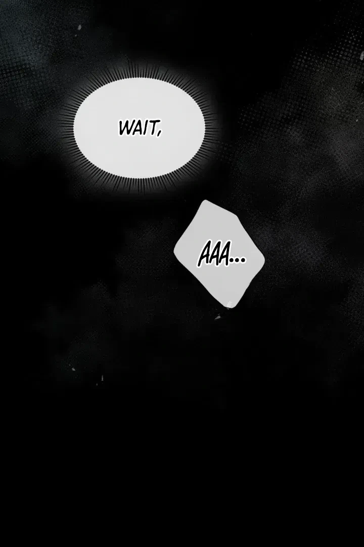Chapter 9, page 117