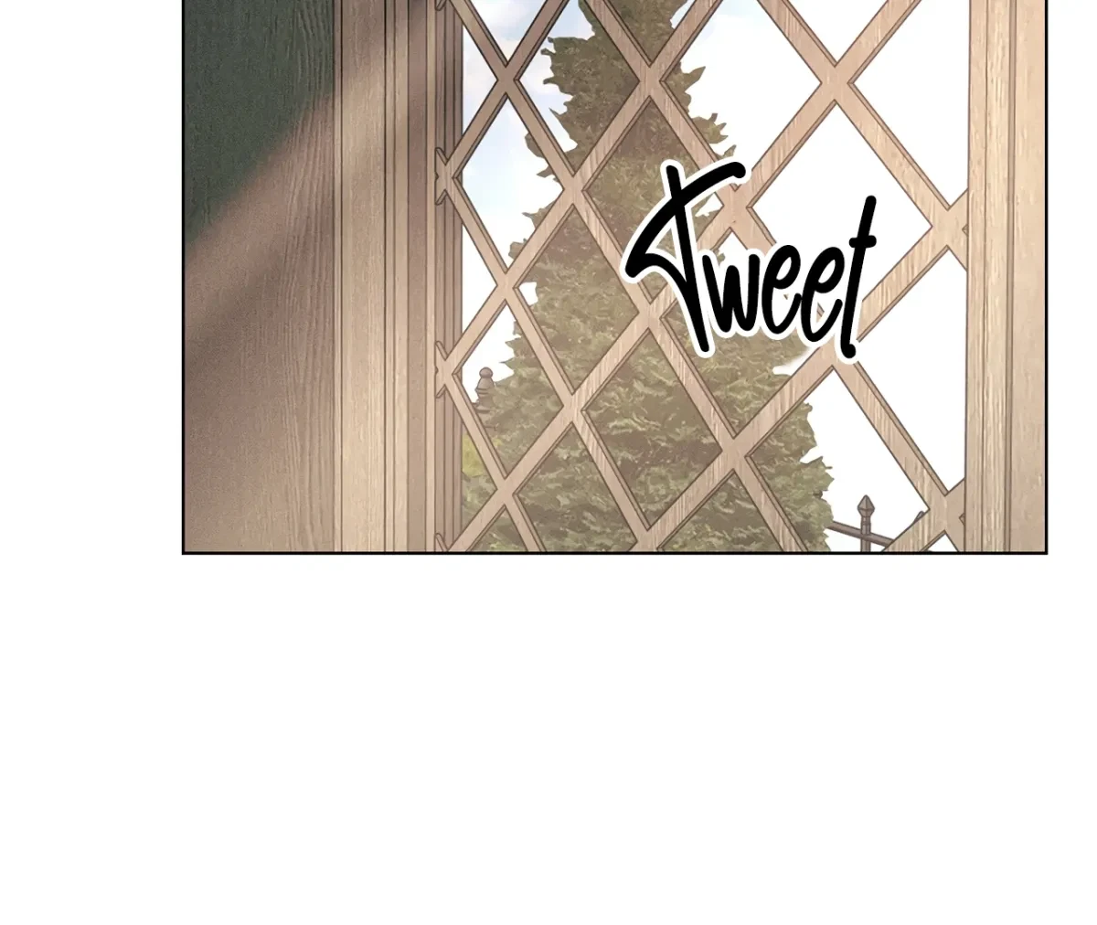 Chapter 1, page 25