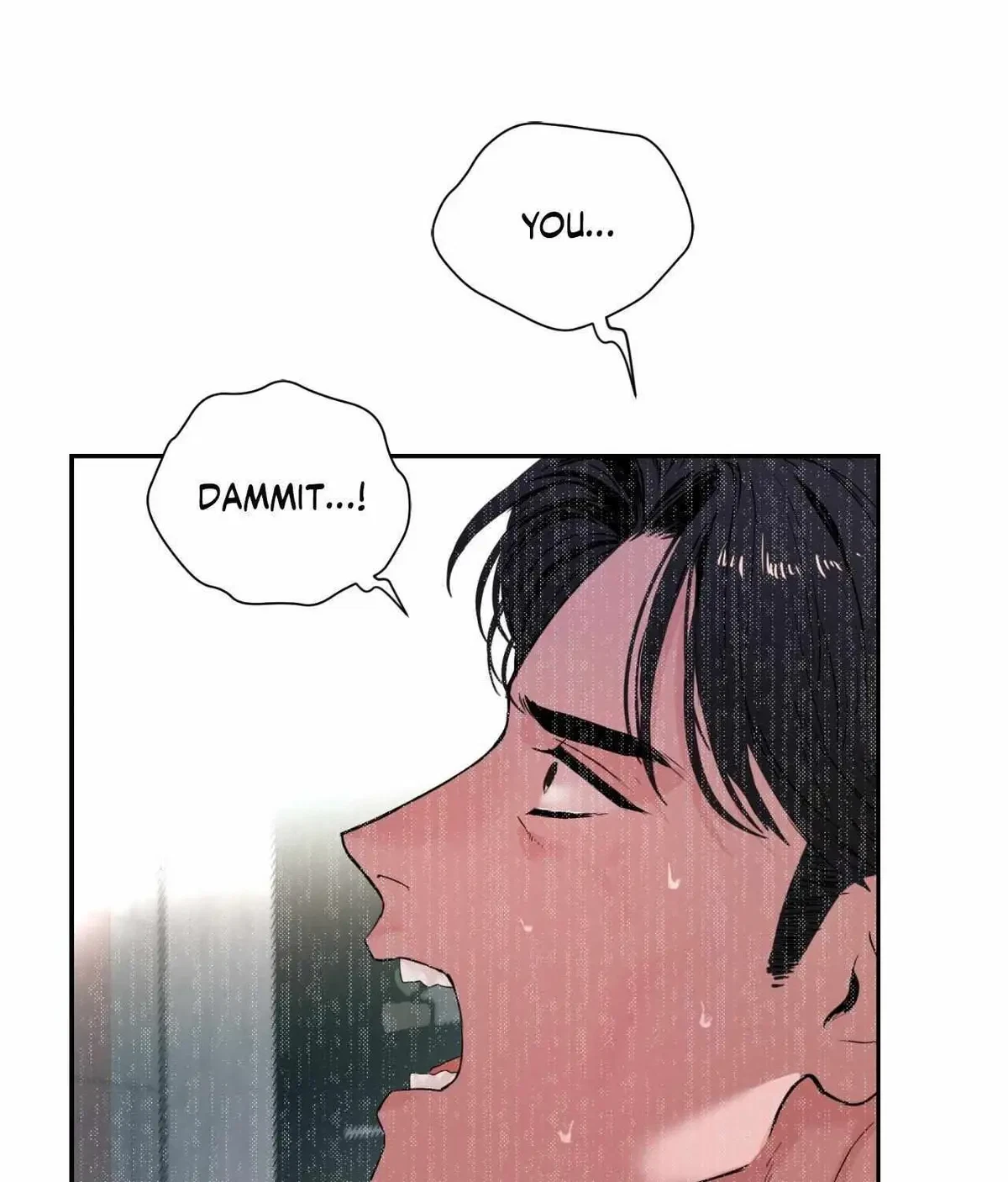 Chapter 4, page 110