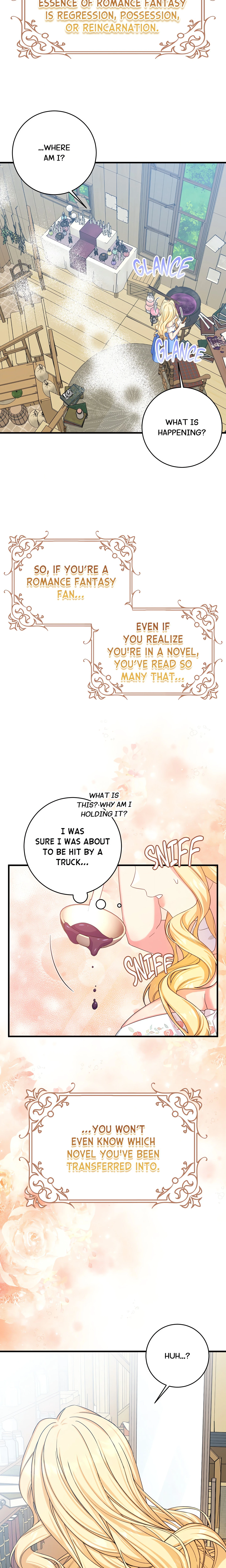 Chapter 1, page 6