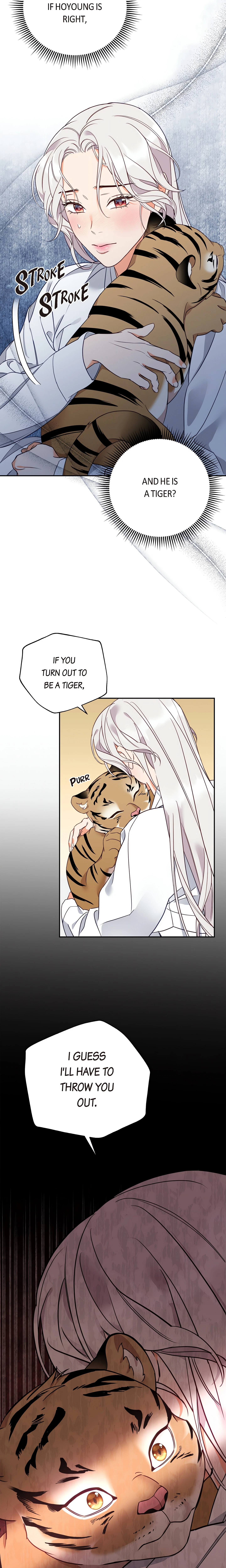 Chapter 4, page 19