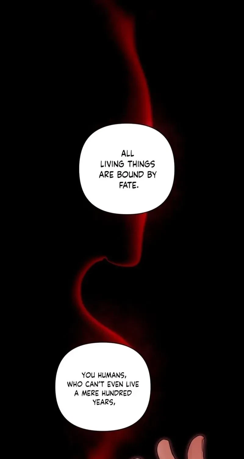 The Immortal Tail Chapter 2, page 2
