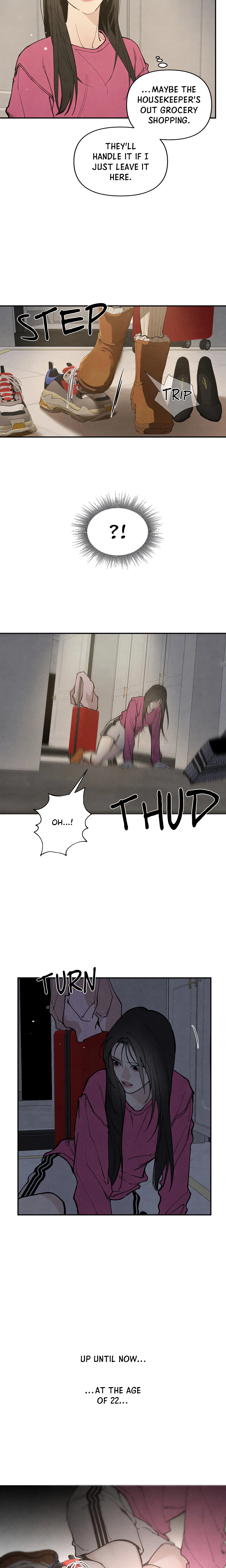 Chapter 1, page 17