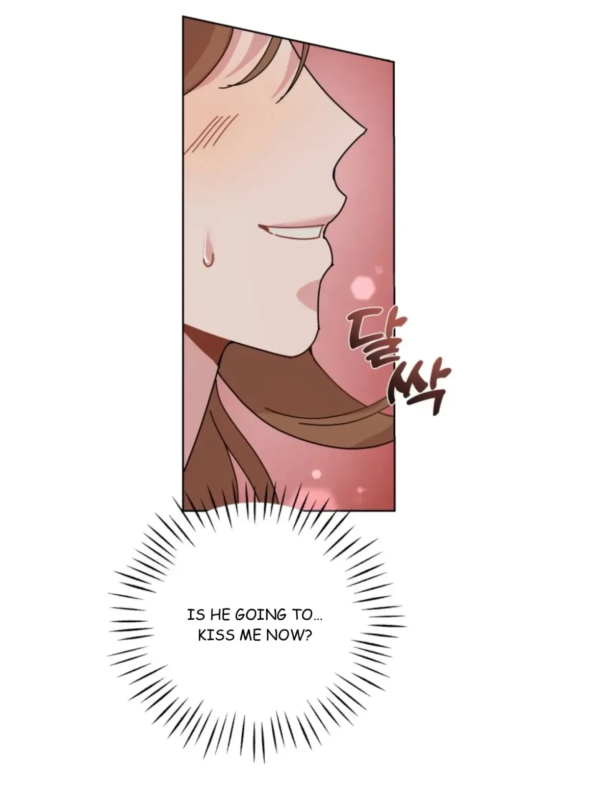 Chapter 2, page 17