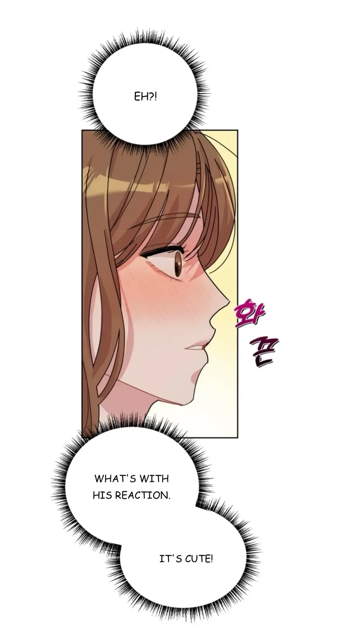 Chapter 2, page 28