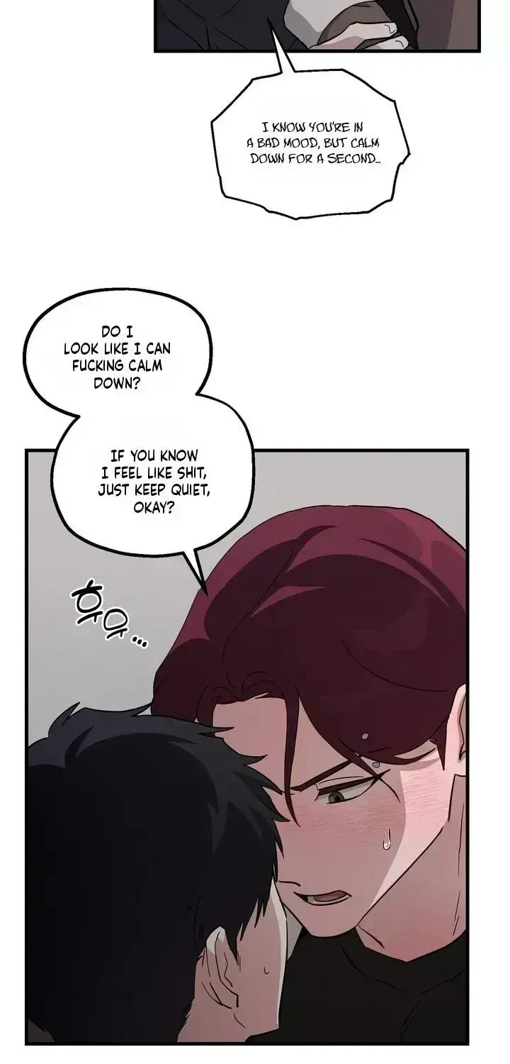 Chapter 1.4, page 17