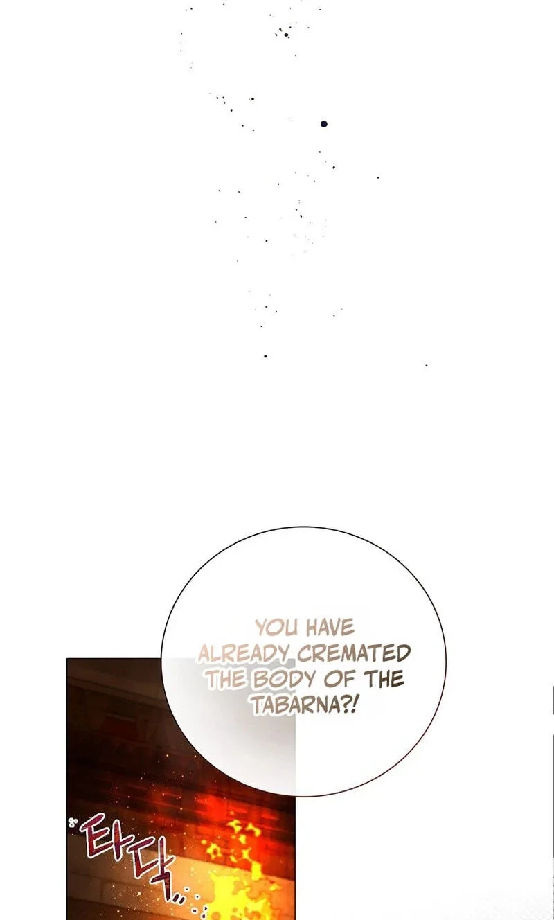 Chapter 2, page 20
