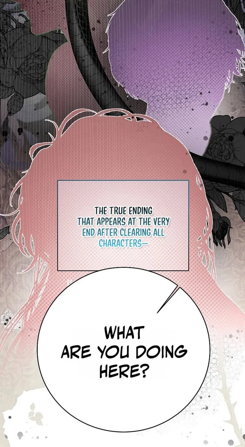Chapter 2, page 48