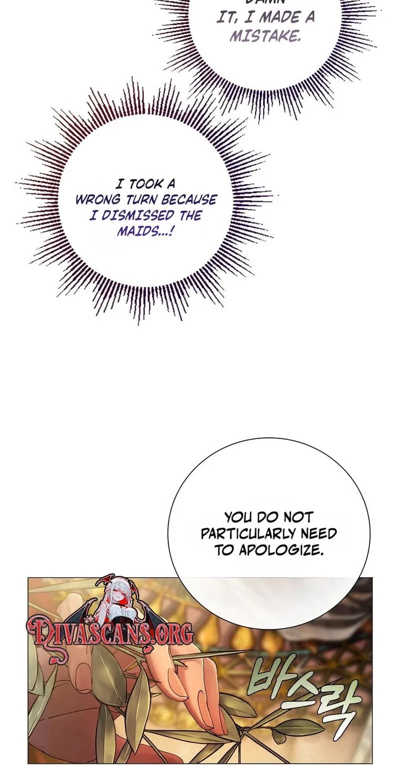 Chapter 2, page 62
