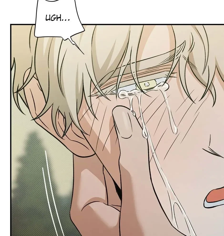 Chapter 2, page 95