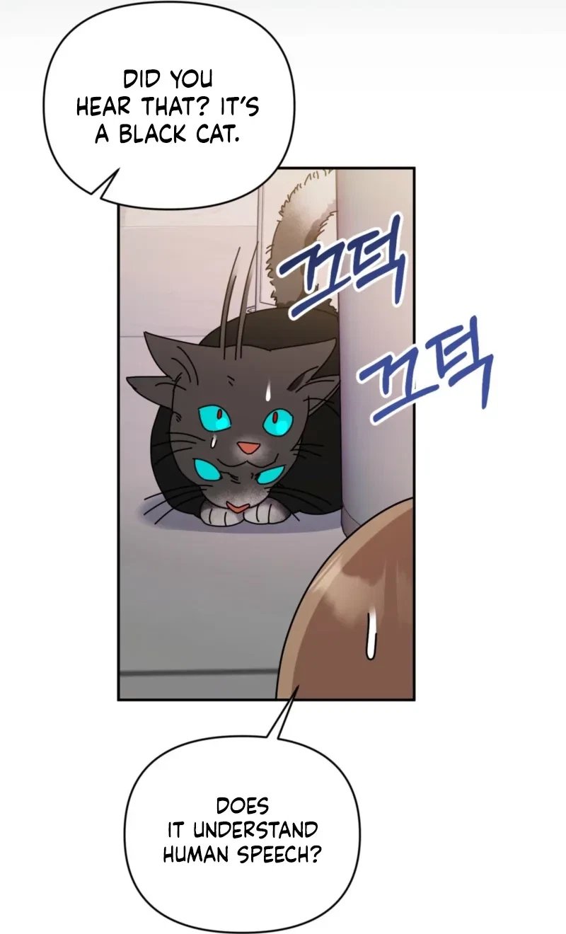 Chapter 3, page 37