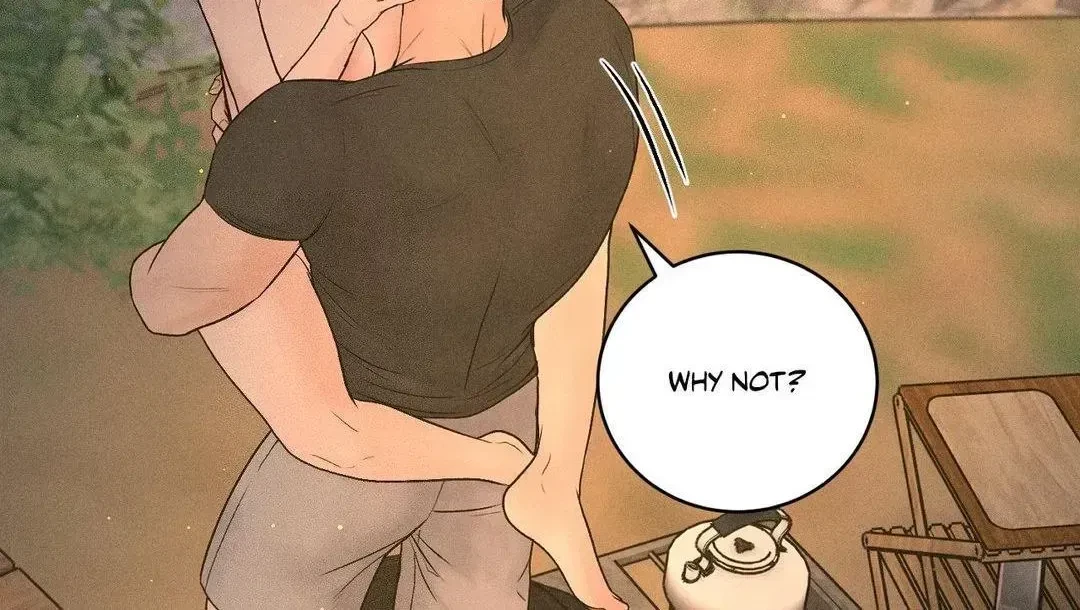 Chapter 4.1, page 86