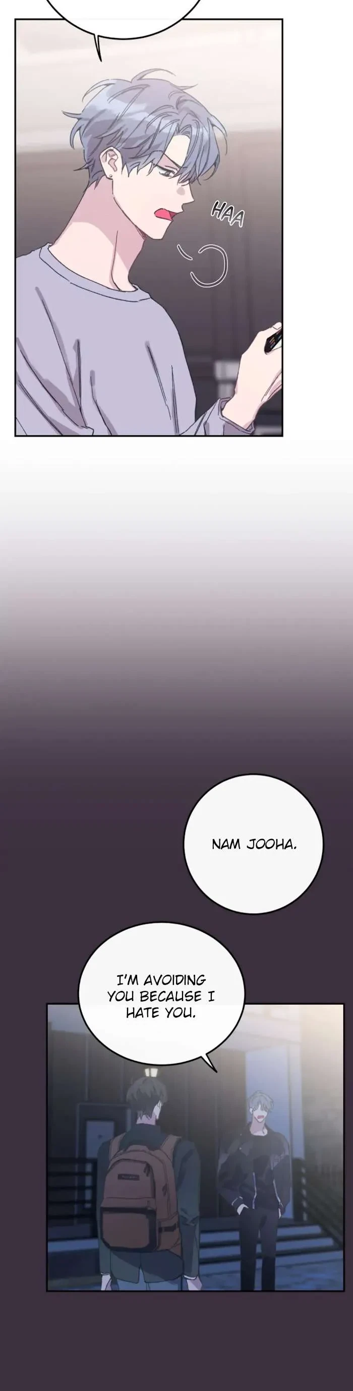 Chapter 4, page 13