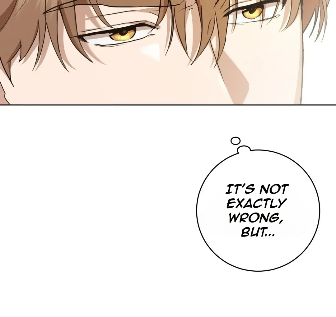 Chapter 3, page 15